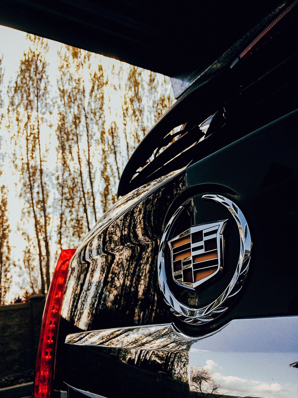 素媛肠子为什么坏了(为什么素媛案肠道会坏死)