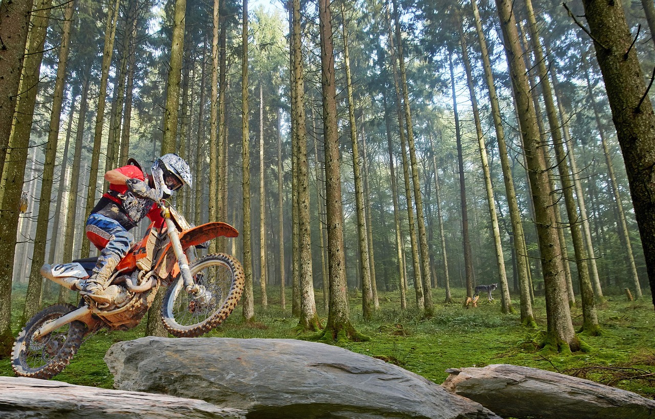 九寨沟旅游攻略及费用/九寨沟旅游多少钱门票