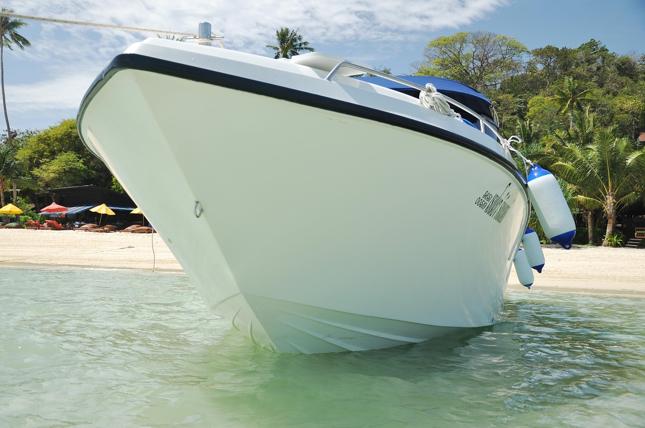 武汉海昌极地海洋世界/武汉海昌极地海洋世界官方网站