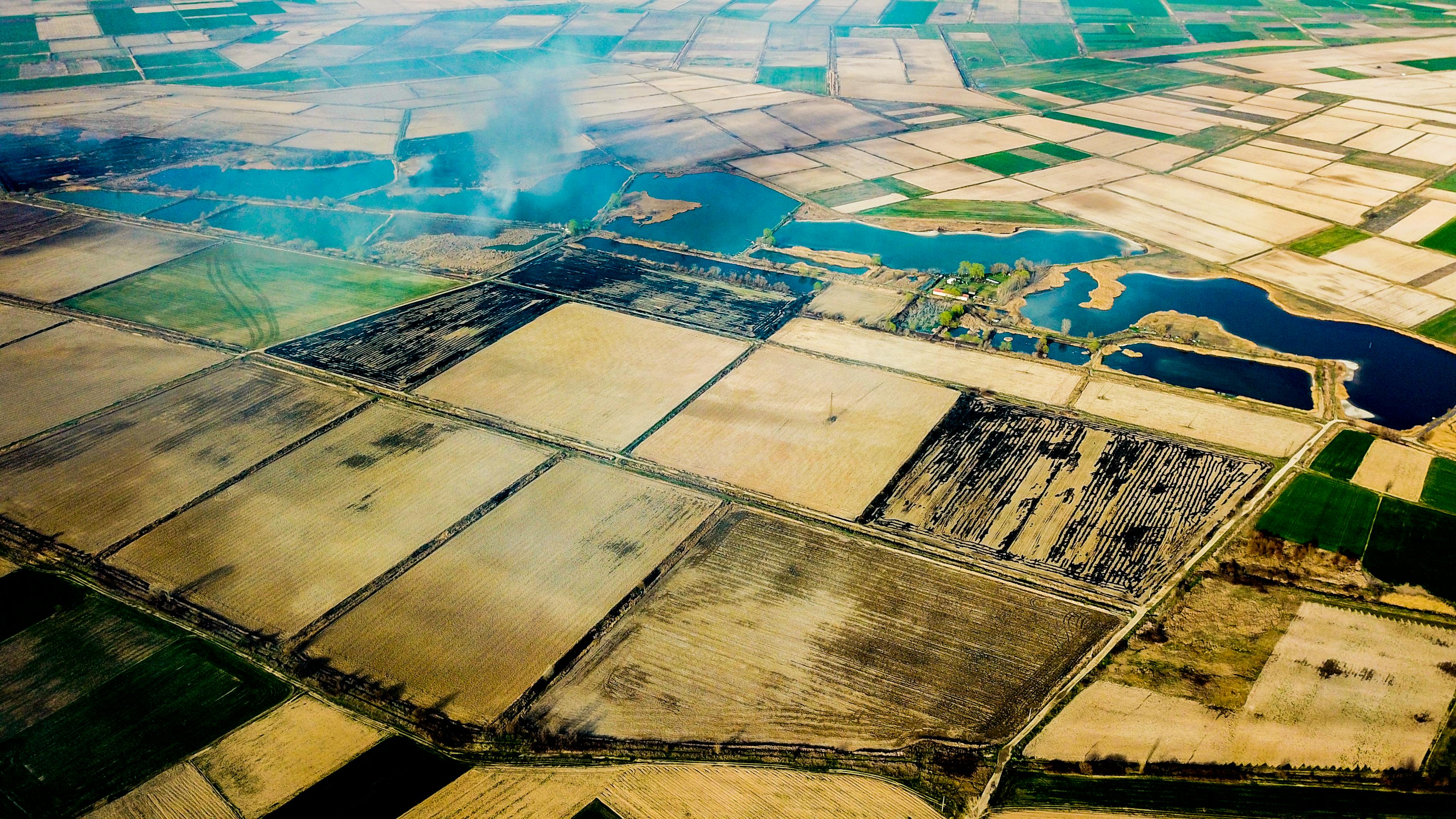 2021年12月10日预言.2020年12月10日预言？