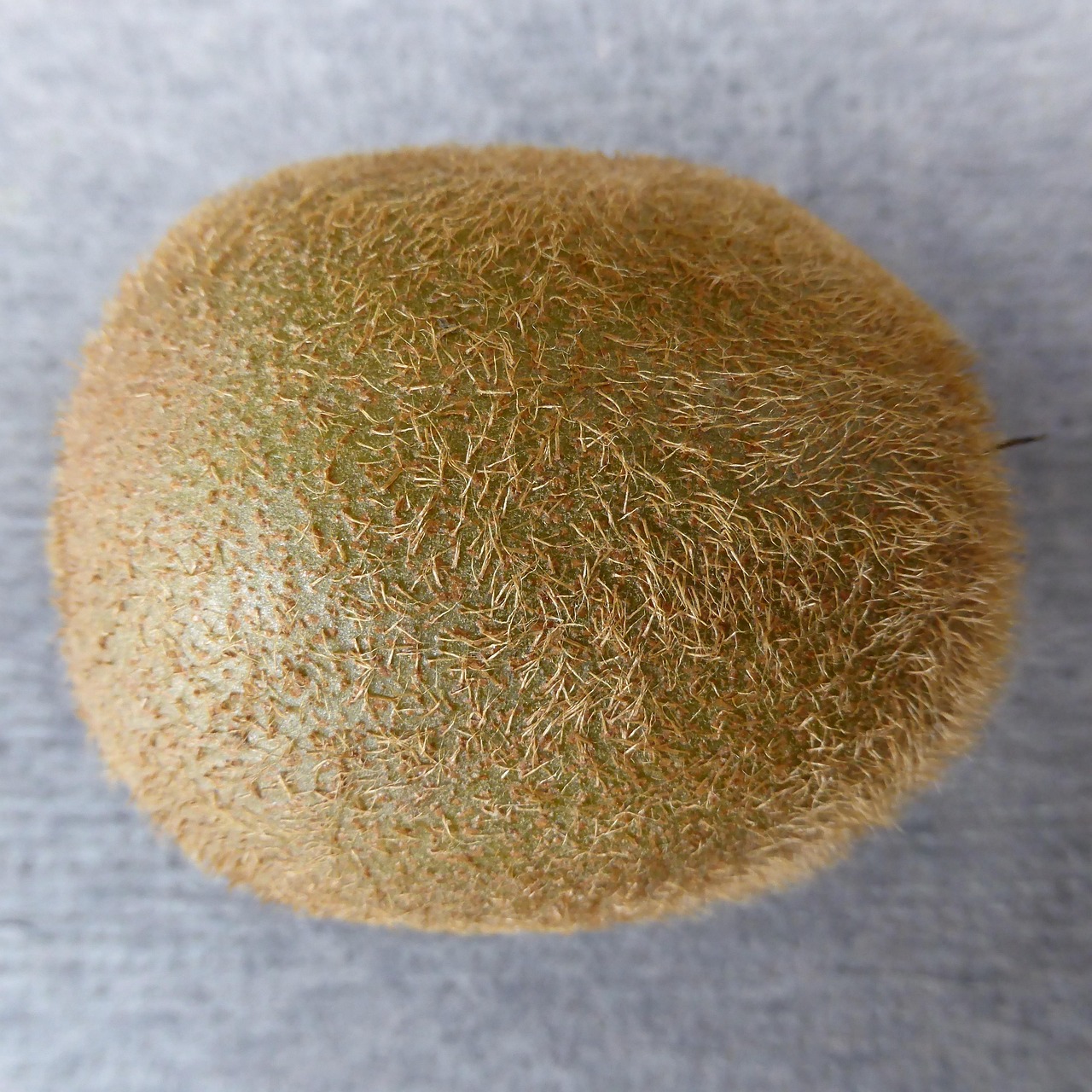 澳大利亚奶粉品牌排名.澳大利亚奶粉品牌排名榜费用？