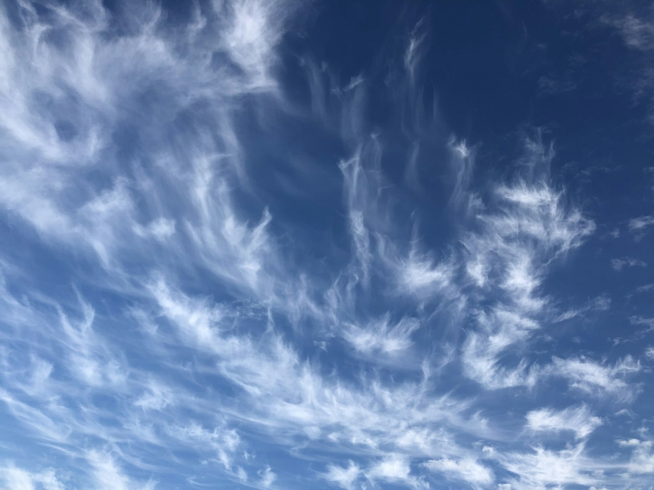 天气预报15天查询下载安装.下载天气预报15天查询免费官方网站? 天气预报15天查询下载安装.下载天气预报15天查询免费官方网站?