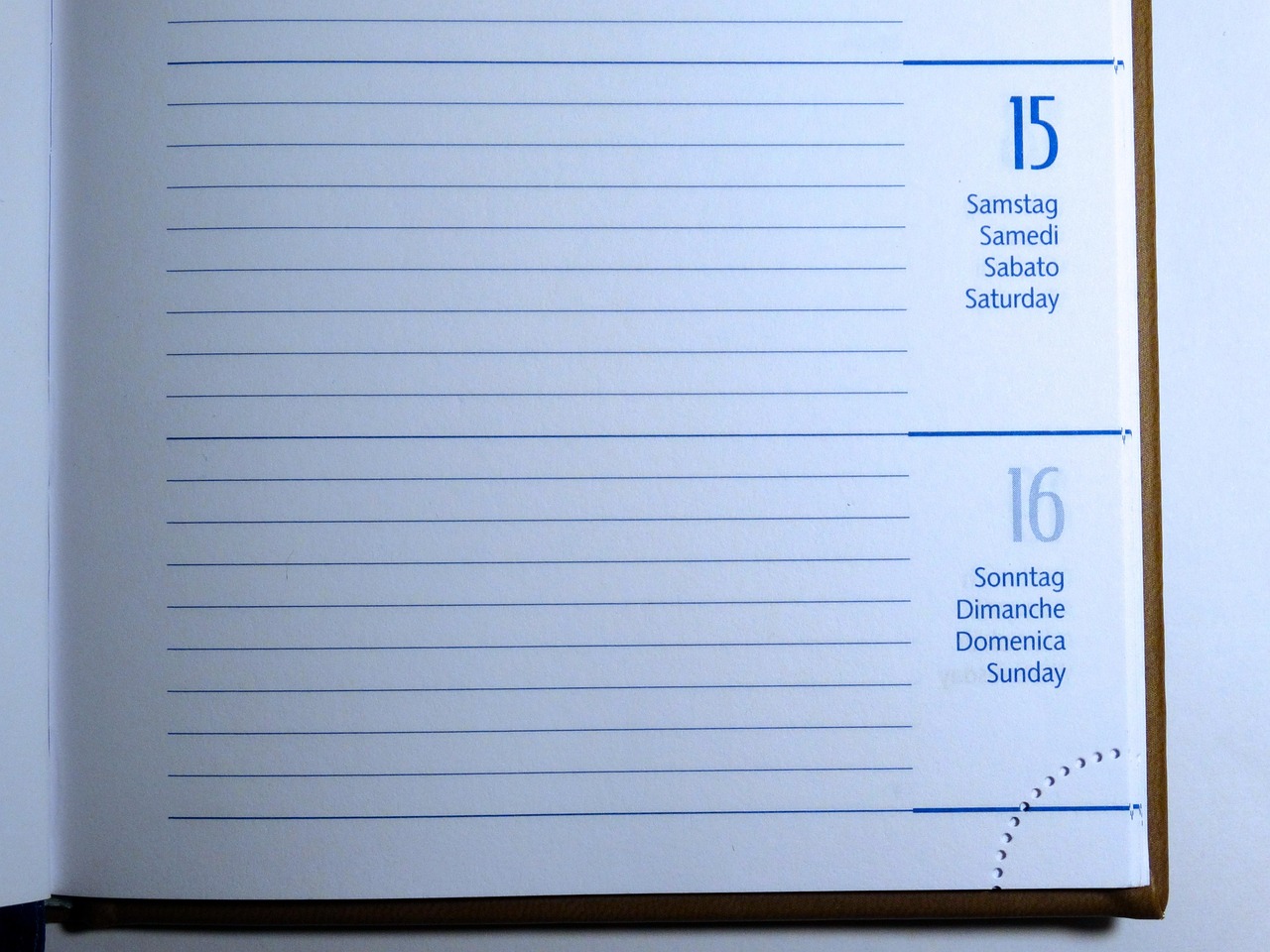 东营天气(东营天气预报30天准确 一个月查询)