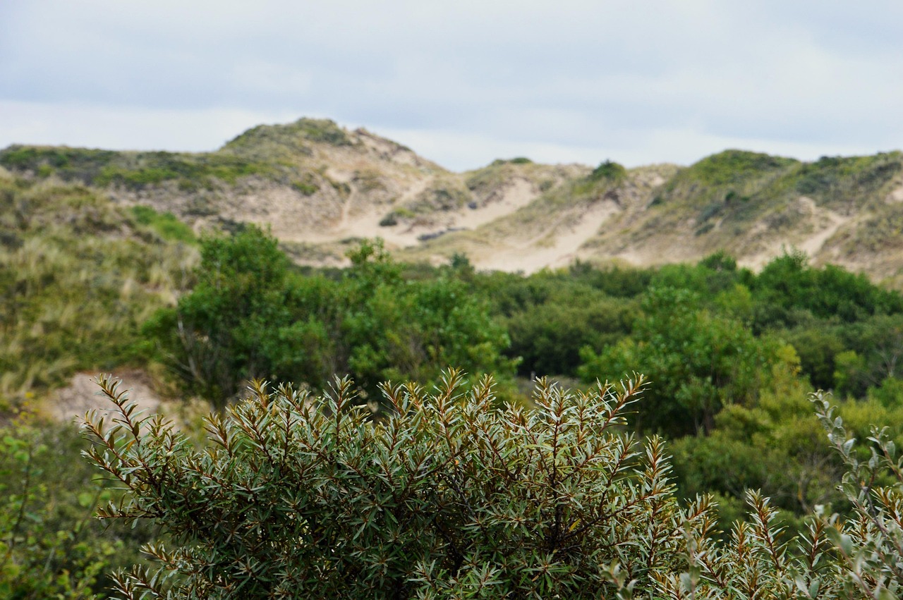 广州龙潭属疫情地区吗.广州龙潭村在哪里？