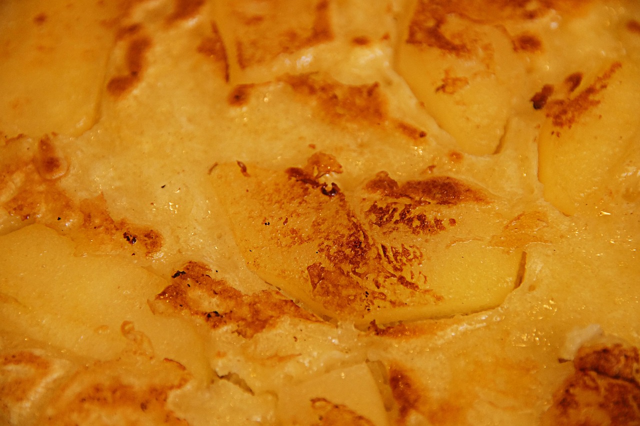 寿司前十品牌/出名的寿司品牌