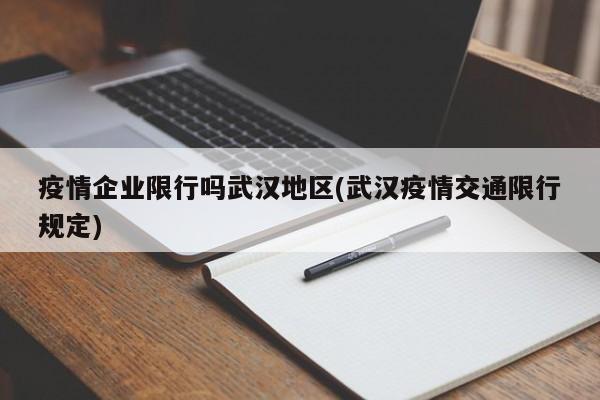 疫情企业限行吗武汉地区(武汉疫情交通限行规定)